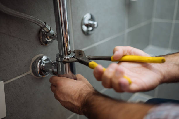 Best Plumbing Services Near Me  in Kalifornsky, AK